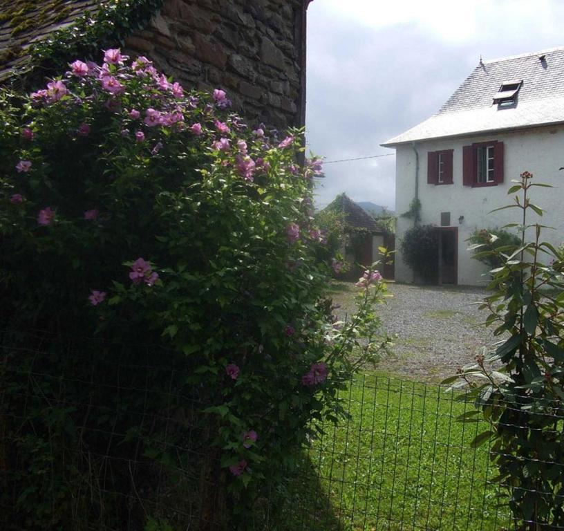 Montory Chambres D'Hotes Maison Paillet מראה חיצוני תמונה